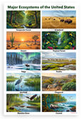 Major Ecosystems of the United States Educational 12x18 US Made Poster