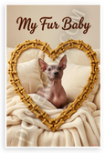 My Fur Baby American Hairless Terrier Dog Bone Heart Frame 12x18 US Made Poster