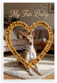 My Fur Baby Ibizan Hound Dog Bone Heart Frame 12x18 US Made Poster
