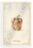 Bell Pepper Provençal Style Botanical Illustration 12x18 US Made Poster
