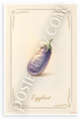 Eggplant Botanical Illustration Provençal Kitchen 12x18 US Made Poster