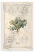 Kale Botanical Illustration Provençal Kitchen 12x18 US Made Poster