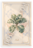 Kale Botanical Illustration Vintage French Kitchen 12x18 US Made Poster