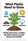What Plants Need to Grow Water Sunlight Air Nutrients Educational 12x18 US Made Poster