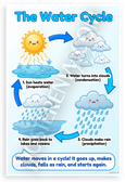 The Water Cycle Evaporation Condensation Precipitation Educational 12x18 US Made Poster