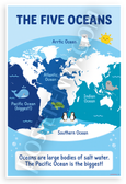 The Five Oceans World Map Educational 12x18 US Made Poster