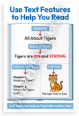 Use Text Features to Help You Read Educational Tigers 12x18 US Made Poster