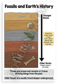 Fossils and Earth's History Educational 12x18 US Made Poster