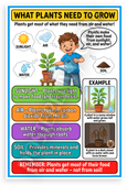 What Plants Need to Grow Educational Science 12x18 US Made Poster