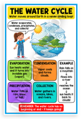 The Water Cycle Educational Science 12x18 US Made Poster