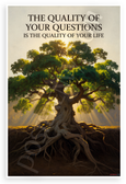 The Quality Of Your Questions Is The Quality Of Your Life Motivational 12x18 US Made Poster