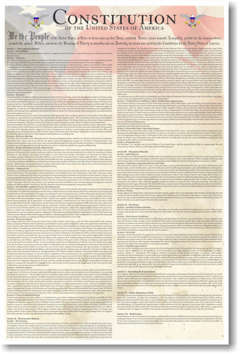 U.S. United States Constitution Classroom American Government History Social Studies Poster (ss106) PosterEnvy 
