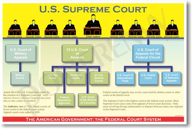 PosterEnvy American Government - The Federal Court System Poster