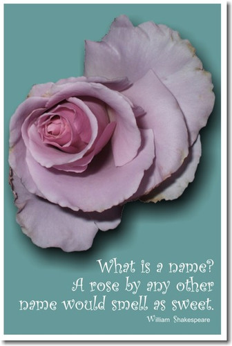 William Shakespeare - "What is a name? A rose by any other name would smell  as sweet." - PosterEnvy.com