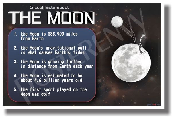 5 cool facts about