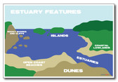 Estuary Features - NEW Classroom Science Poster