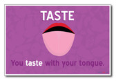 Taste - NEW Classroom Science Poster