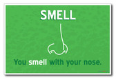 Smell - NEW Classroom Science Poster