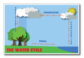 The Water Cycle - NEW Classroom Science Poster