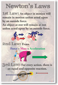 Newton's Law - NEW Classroom Physics Science Poster