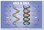 DNA & RNA NEW CLASSROOM BIOLOGY SCIENCE POSTERENVY POSTER