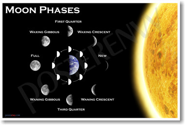 Moon Phases Astronomy Science Classroom Poster (ms115) PosterEnvy 
