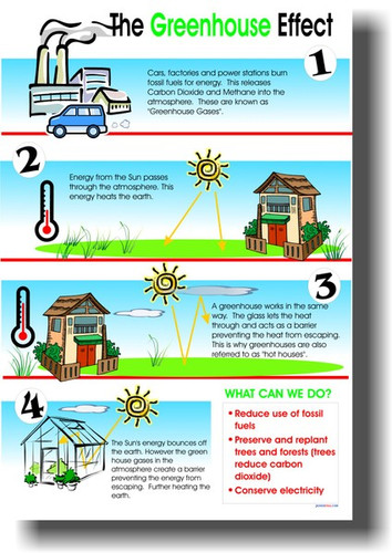 Greenhouse Effect Global Warming Climate Change Science Classroom PosterEnvy Poster