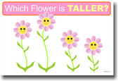 Which Flower is Taller? - Classroom Math Poster