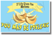 If Life Gives You Melons, You May Be Dyslexic - NEW Humor PosterEnvy Poster