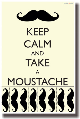 PosterEnvy - Keep Calm and Take a Mustache - NEW Humor Poster