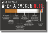 What Happens When A Smoker Quits - NEW Health Poster
