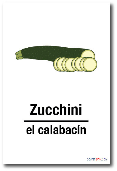 El Calabacin - Zucchini In Spanish - NEW Foreign Language Educational ...