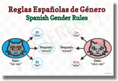 Spanish Gender - NEW Foreign Language Educational POSTER