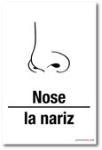 La Nariz - Nose In Spanish - NEW Foreign Language Educational POSTER