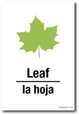 La Hoja - Leaf In Spanish - NEW Foreign Language POSTER