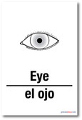 El Ojo - Eye In Spanish - NEW Foreign Language Educational Classroom POSTER
