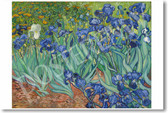 Irises 1889 - Vincent Van Gogh