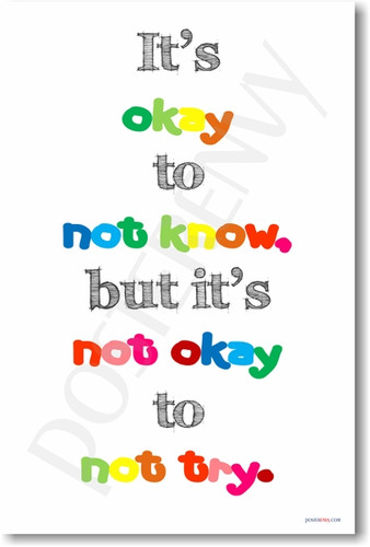 It's Okay To Not Know But It's Not Okay To Not Try - NEW Classroom Motivational PosterEnvy Poster

 