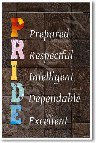 PRIDE - Prepared, Respectful, Intelligent, Dependable, Excellent - NEW Colorful Classroom Motivational PosterEnvy Poster
