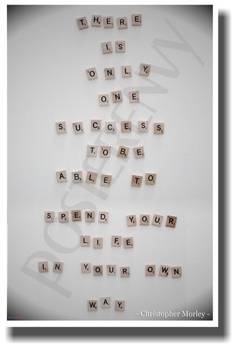  Scrabble tiles - There Is Only One Success - Christopher Morley - NEW Classroom Motivational PosterEnvy Poster