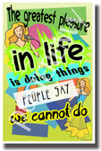 Goals Accomplishments Success - The Greatest Pleasure in Life Is Doing Things People Say We Cannot Do - NEW Classroom Motivational PosterEnvy Poster