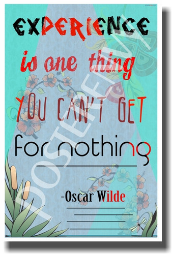 Experience Is One Thing You Can't Get For Nothing - British Author Oscar Wilde - NEW Classroom Motivational PosterEnvy Poster