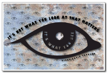 It's Not What You Look At That Matters It's What You See - Henry David Thoreau Classroom Motivational PosterEnvy Poster