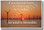 Wind turbines at sunset in the bay - alternative energy global warming climate change - If One Does Not Know to Which Port One Is Sailing, No Wind Is Favorable - Lucius Seneca - NEW Classroom Motivational PosterEnvy Poster 