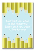 Learn As if You Were to Die Tomorrow - NEW Classroom Motivational Poster
