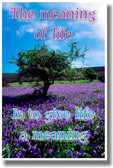 The Meaning of Life Is to Give Life a Meaning - New Classroom Motivational Poster