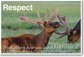Respect: Treat Others How You Want To Be Treated - NEW Classroom Motivational Poster