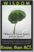 Wisdom - Know then Act - When you know better: you do better - Maya Angelou - Motivational Poster