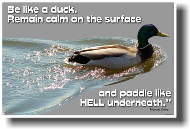 PosterEnvy - Be Like a Duck. Remain calm on the surface and Paddle Like Hell Underneath. - Michael Caine - POSTER