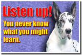 Listen Up! You Never Know What You Might Learn cm376